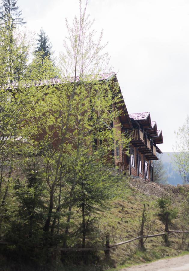 Villa Karpatska Oselia à Verkhovyna Extérieur photo